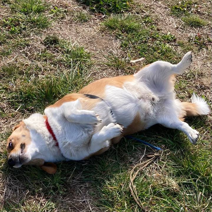 E198cbc8 0a80 4dea a989 b8f0309614a6 1678060392943