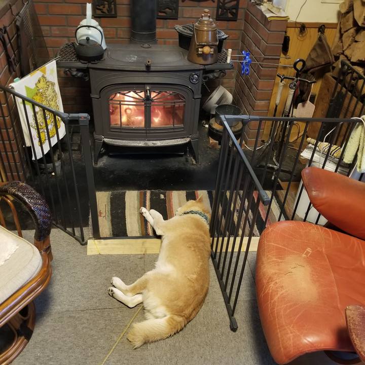 E198ccd7 6aa6 4d3a b2a0 57eb38ca74a9 1706741420219