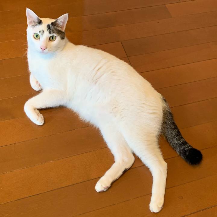 E19909d2 596d 445b 93b2 d45eeacd9a17 1699081079576