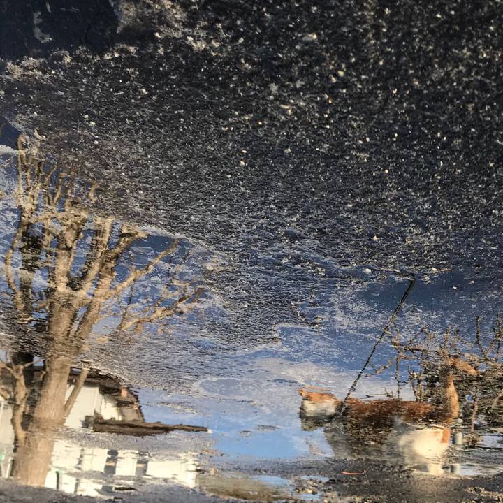 E19957cf adae 46e5 8bb4 f7624cc235e7 1516268686164