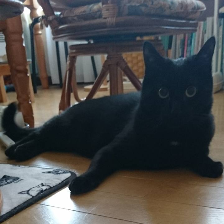 E1995a8b 03cc 4a1d 8b1d be05a6a02771 1515907525995