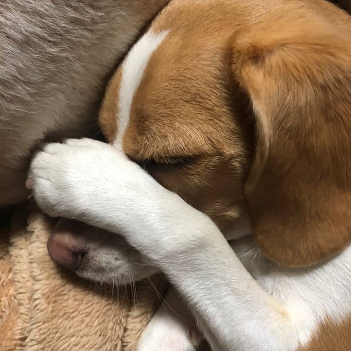 E1995bcf 9486 47da a6be 2b4e7dc41ba0 1571125525041