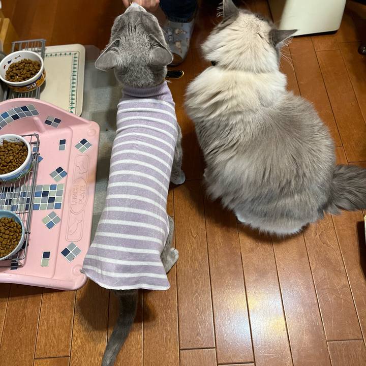 E199d662 ec28 41b9 b1f0 1258016e2ff2 1641909927245