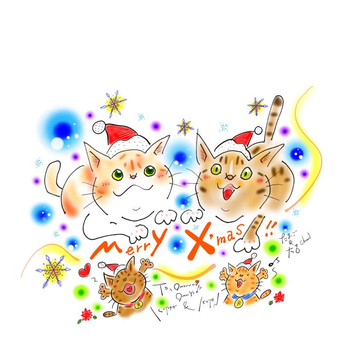 E199f911 7181 4248 b4ec 7fd8d1363aa5 1640182762984