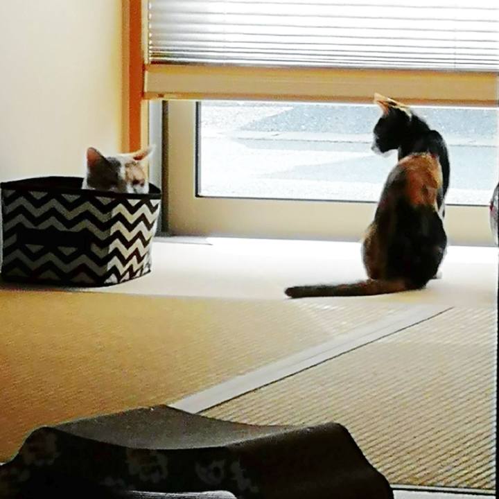 E19a0010 1312 4c96 b8b6 2e2bc37fdaf6 1598156674597