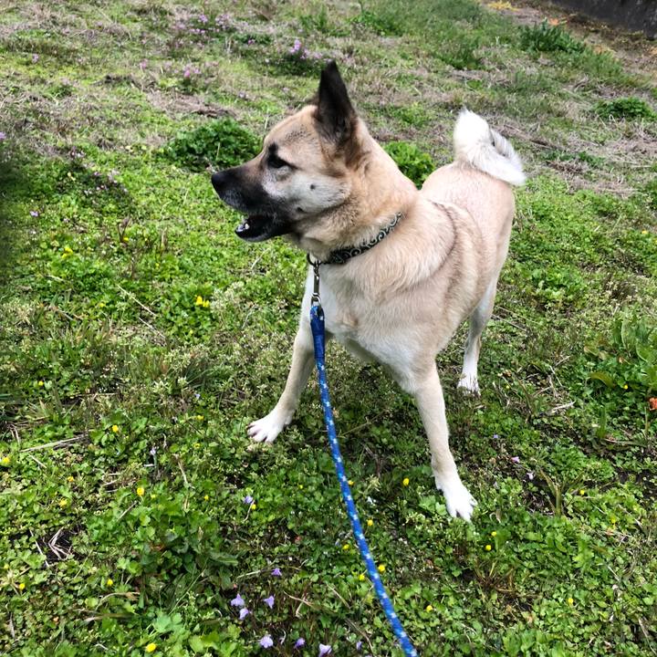 E19a0861 0a70 4431 b73d 32bfffbbee5e 1585224901453