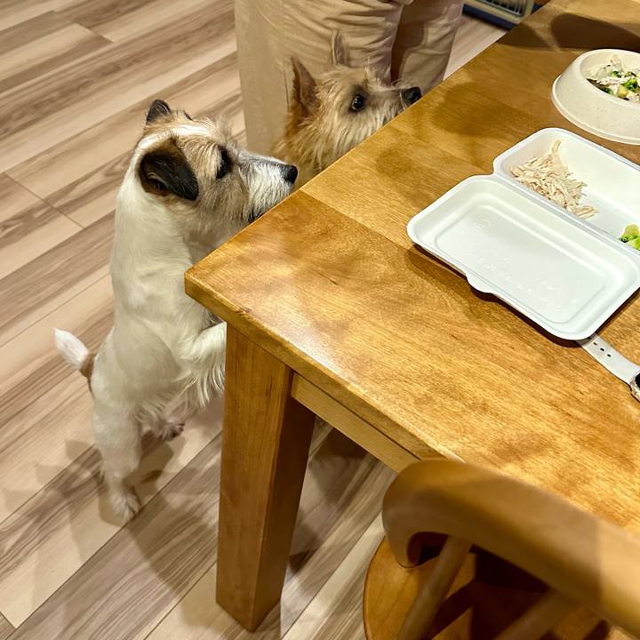 E19a5590 c979 4574 b7b5 810f1ade6183 1717154528670