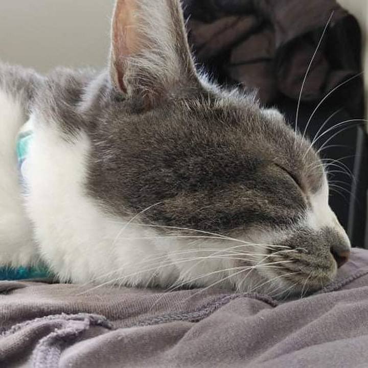 E19a606a 1101 4379 b906 0905c037ff21 1627697912992