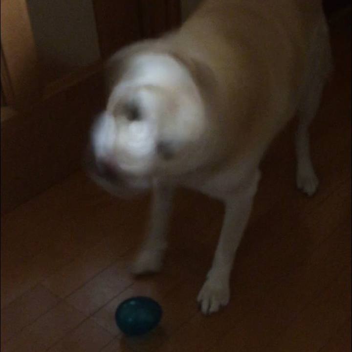 E19a7f1f 0ffe 4871 8761 af177c0bee01 1526000915343