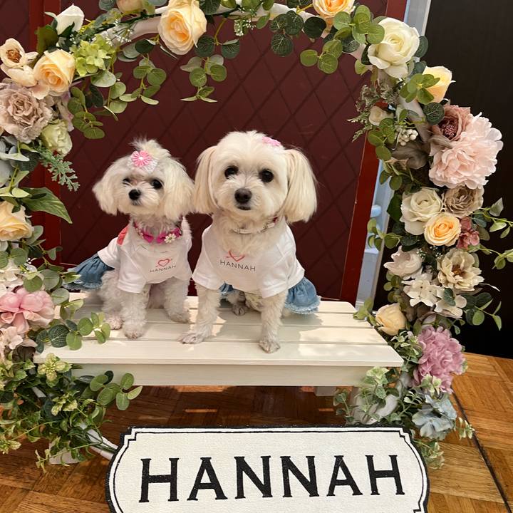 E19aa325 ab39 438a 8d8e 0011d7ef1b79 1725209149390