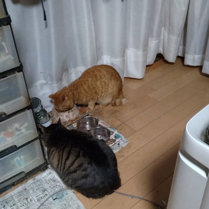 E19acc55 662a 4b7b 9d8d 961e87c67d5a 1700299278091