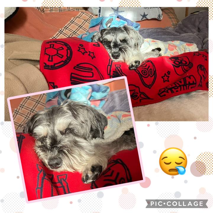 E19ad35f 80a2 45c2 b26b 13c6a0ad7510 1768743281433