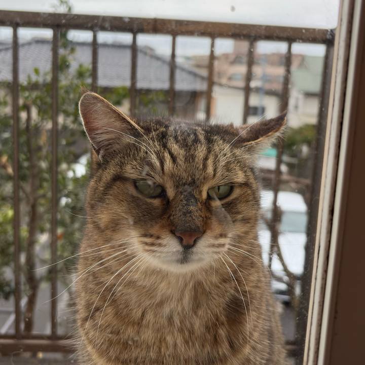 E19ad6f7 d4a1 4e62 8573 daa477709c73 1772065864912