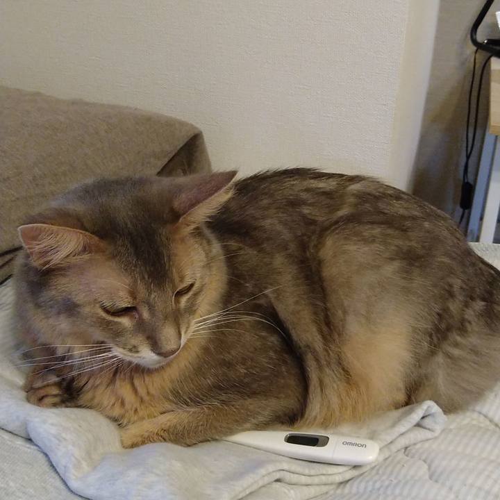 E19af599 b773 45f4 b7cd fee3ab2cb172 1597846053899