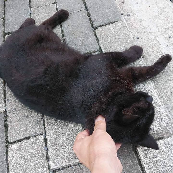 E19b3d0c cb1d 40d9 867f 05c8296ad927 1659686138855