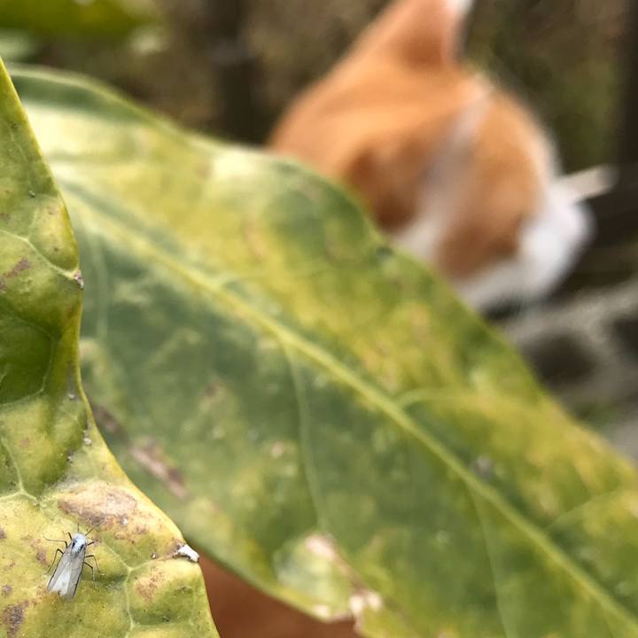 E19b474c 3caf 43ba b7a6 828c22b59ef8 1512357477944