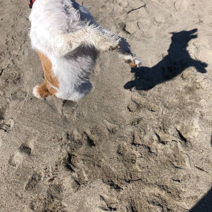 E19b683a 1e74 41b1 b5ac 0e9c9b04ba42 1592695745712