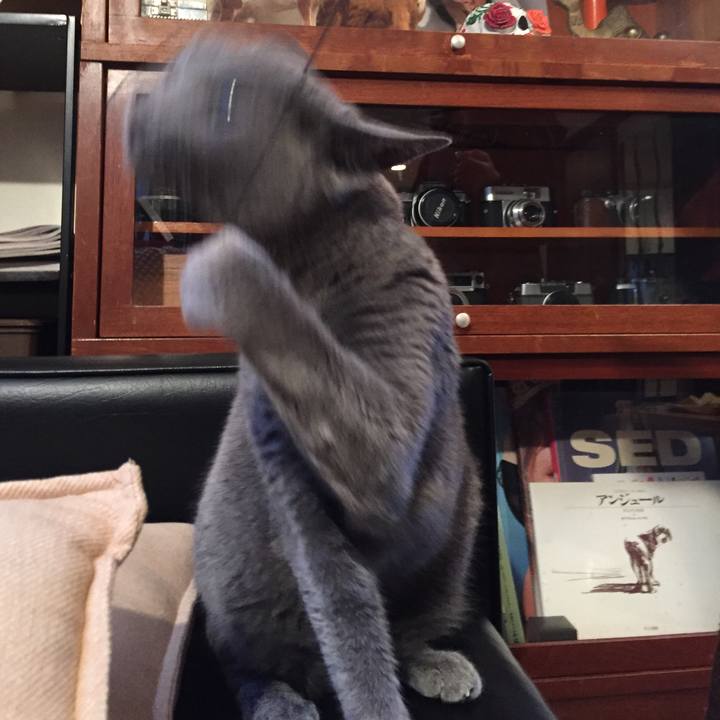 E19b9466 91ca 4f16 aeff 4f6378adf211 1517958796193