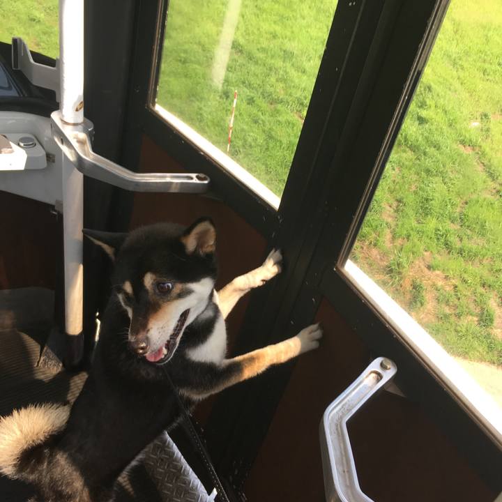 E19b94a5 cae5 4967 b025 607f005c702a 1565479317056