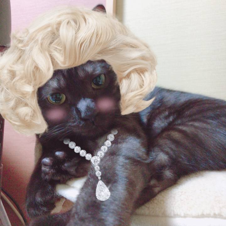 E19b959c 5fc1 4e9f 9412 125a0eca10d2 1549313743706