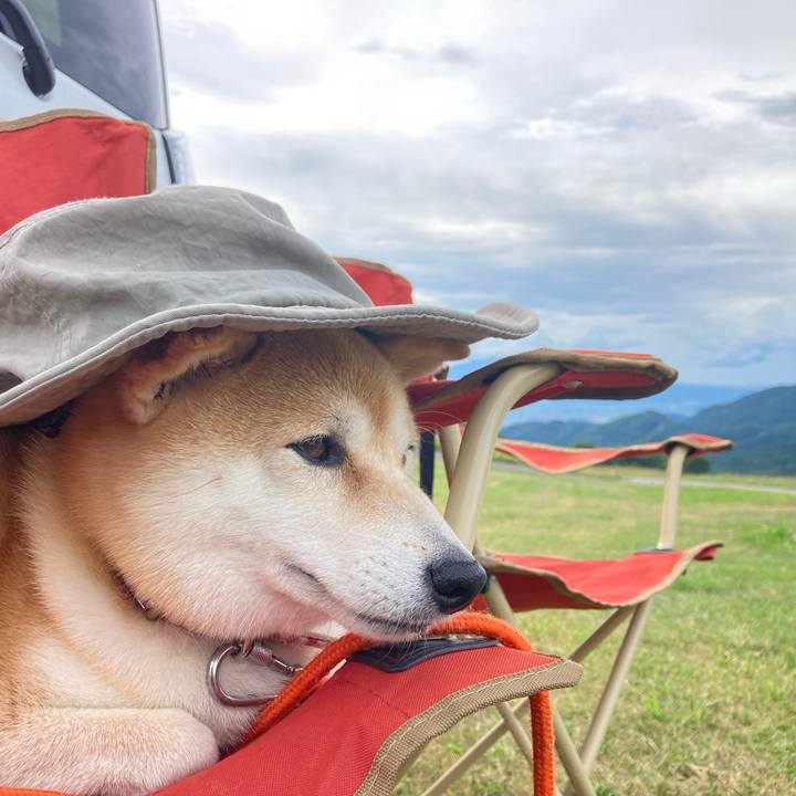 E19b97ea eeb4 4fc3 bfb6 a49dcc89745b 1752734652056