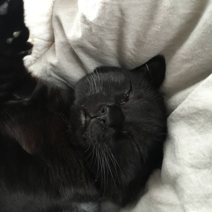 E19be58c 9961 4ebe 8826 248168cc5a73 1510146003653