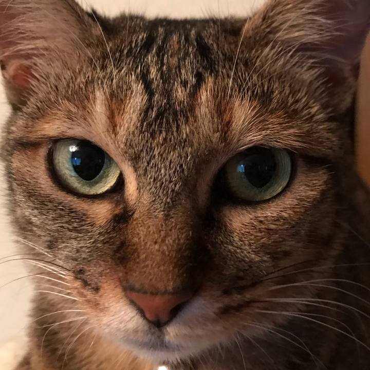 E19c0a72 9f29 4a1f b87f 5455975123a2 1593858951111