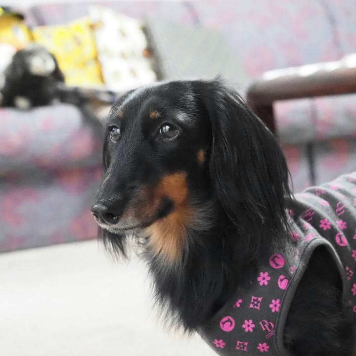 E19c72e1 767a 4390 9b85 43c0df4c057d 1543815251259