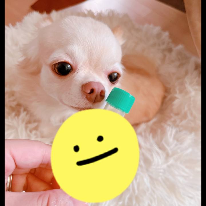 E19ca9ce dbcf 4437 bd78 0ba52d7c0792 1663141577382