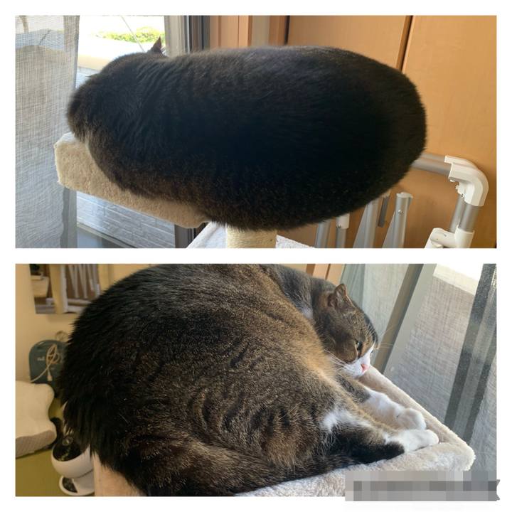 E19cd521 3f68 4315 a576 d383875211f3 1651966683721