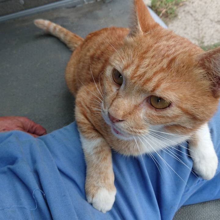 E19d14fd b4c8 4cac b6e8 c1e2b7bfe209 1569050307252