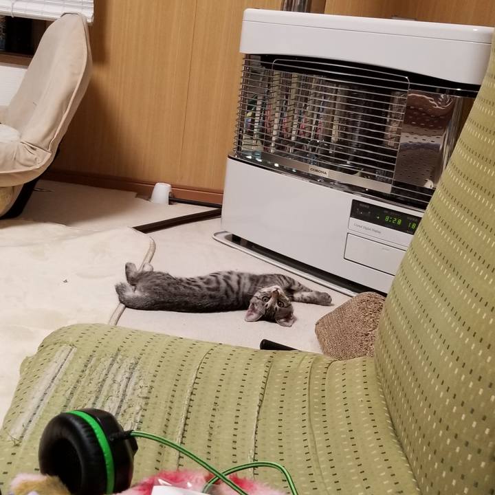 E19d1979 7779 4363 ba06 d5cfbb0e90b7 1665154984077