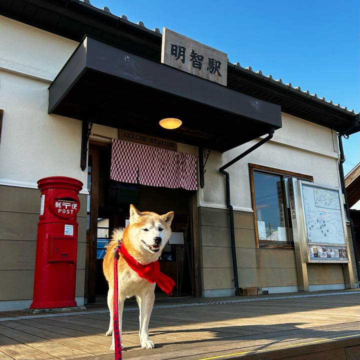 E19d34fe bfb6 4c15 a4de 509678023354 1768996303993