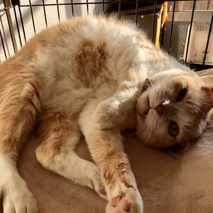 E19d6103 f2a3 4b6b b53a bd2ecdf0a08f 1574464633915