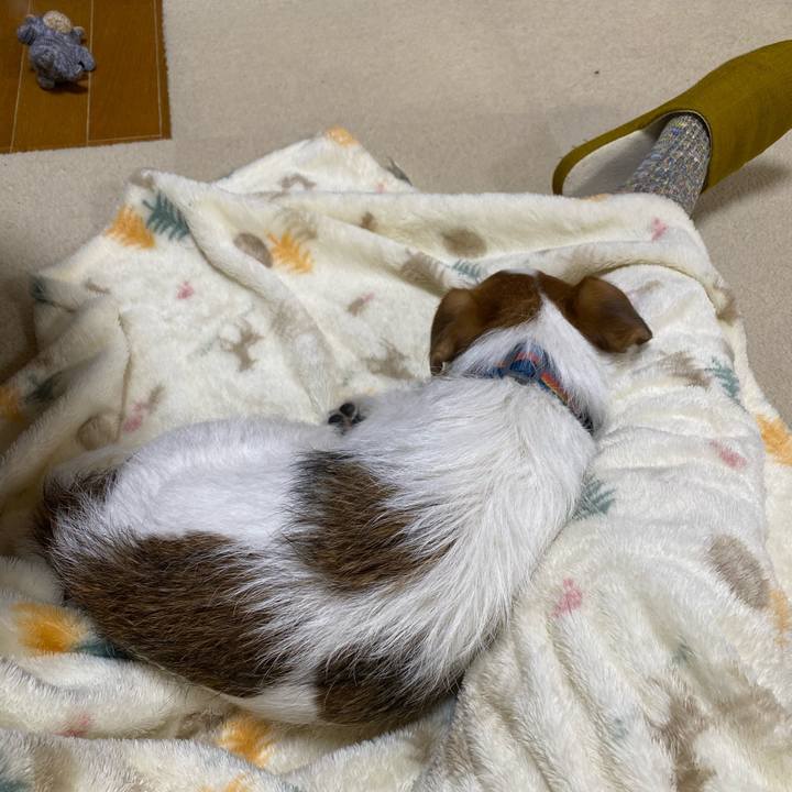 E19d81c2 348b 47aa a65d 8d04ef328fda 1672917347869