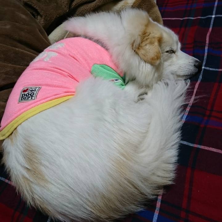 E19d8bc6 e215 4f5d 8665 891829f62a39 1509308350884