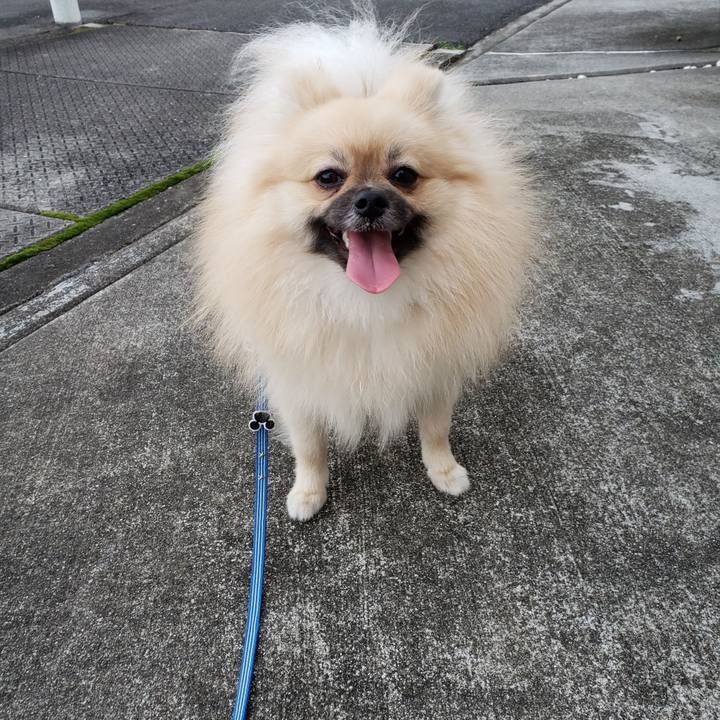 E19dac87 2b49 4e3d 9e25 84867fd61899 1632027765241