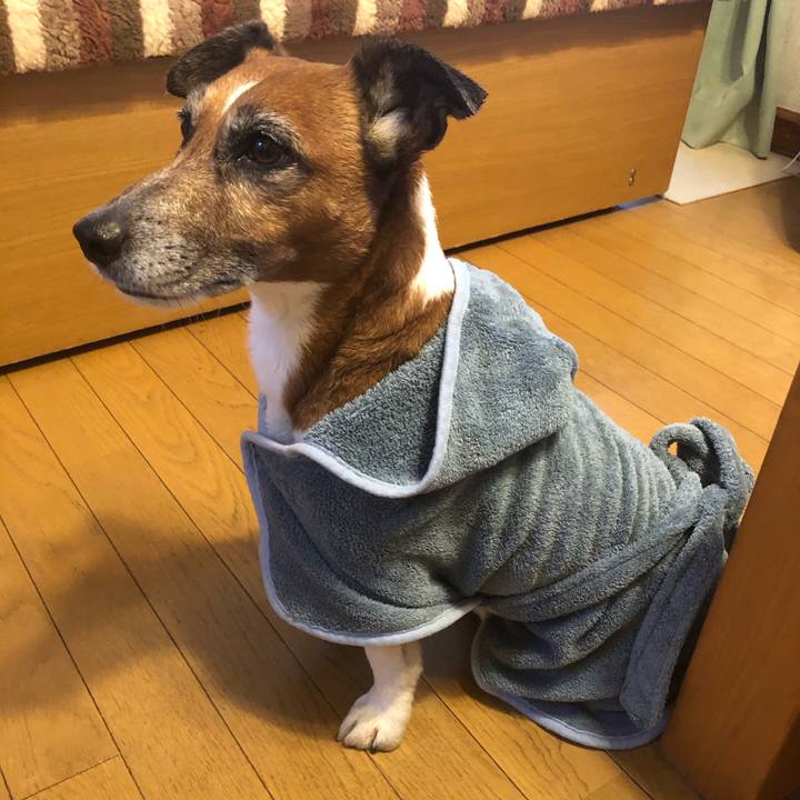 E19db0aa 06c8 4039 a4ac 5b5c83489eff 1613085655485