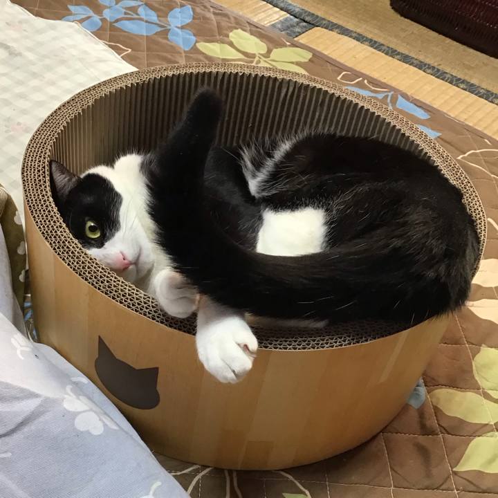 E19db228 03e1 44eb 9851 19bc6b69a4a7 1734851129302