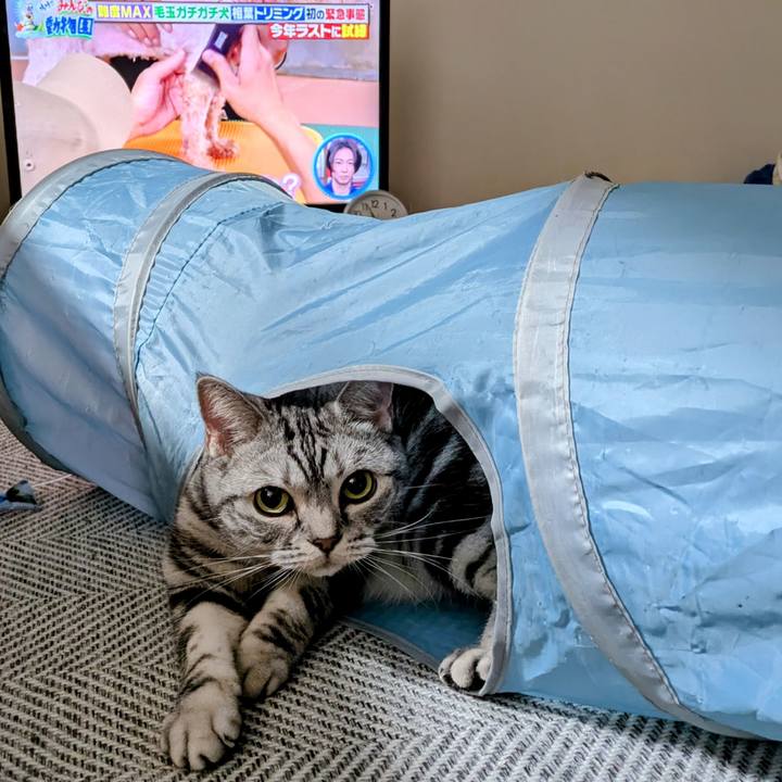 E19dc868 c119 4610 94c5 a10ee763da5c 1735253954103