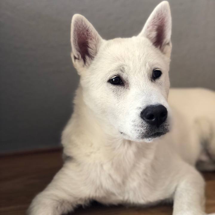 E19dc8af e3d3 4a1a 9ab9 a45c93f366a5 1519517383667