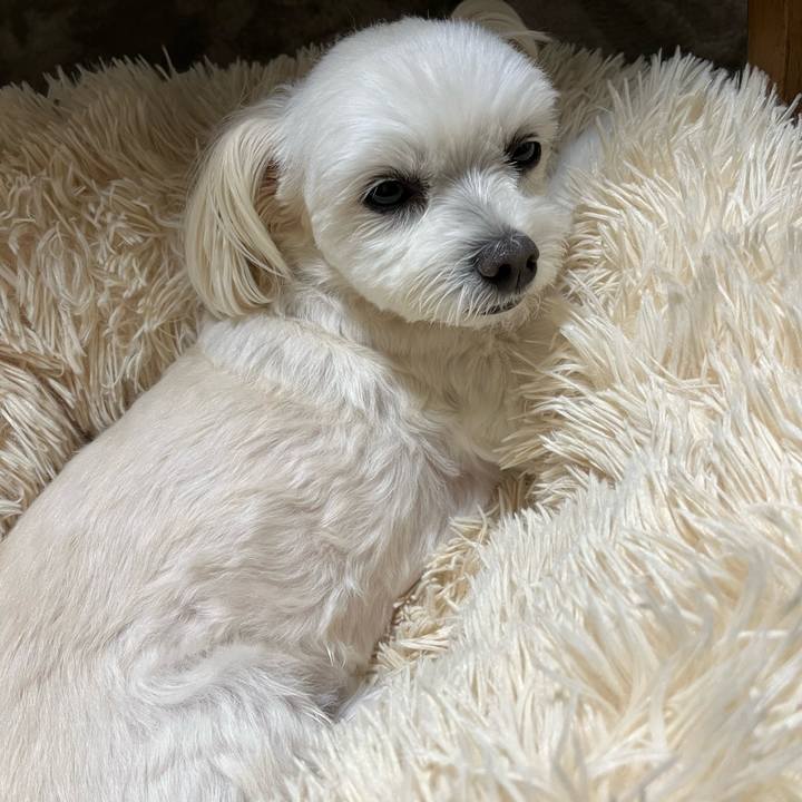 E19e1b3f eabe 4bc0 871c 0f5707193785 1667567314904