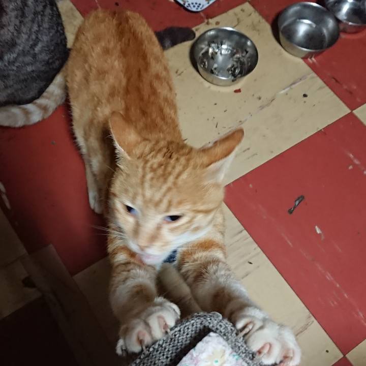 E19e721a 8817 4097 96e2 c2772b008179 1563565711376