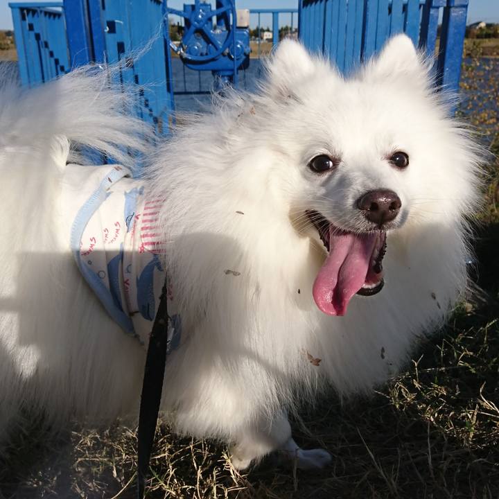 E19e8ea8 cbc6 427f a7a0 dcf775c98680 1605940516167