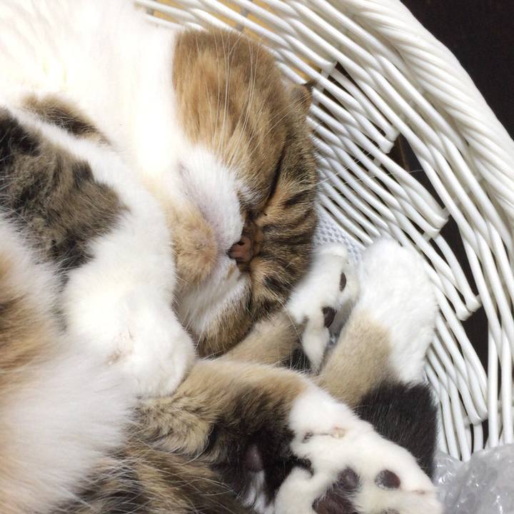 E19ea206 ad0c 4228 ad49 76a39568fc0a 1510399094921