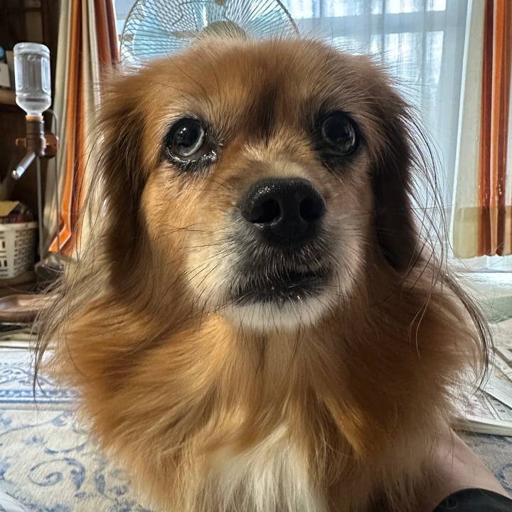 E19eb74b 1ac7 4cd5 8bb4 0e6b8c1d0433 1760995542613