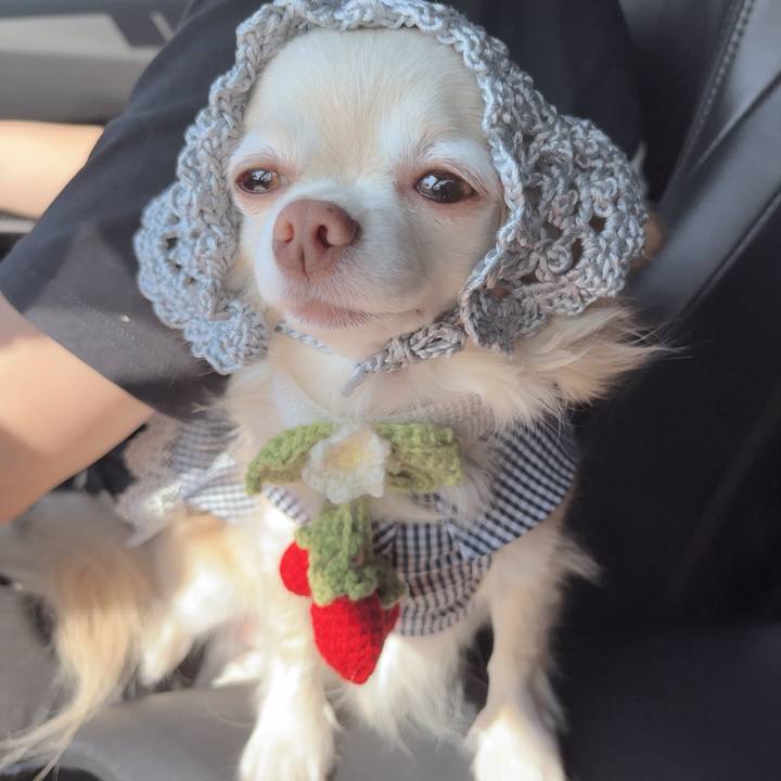 E19ec774 eed9 4246 9250 58498eb9a39e 1755172944251