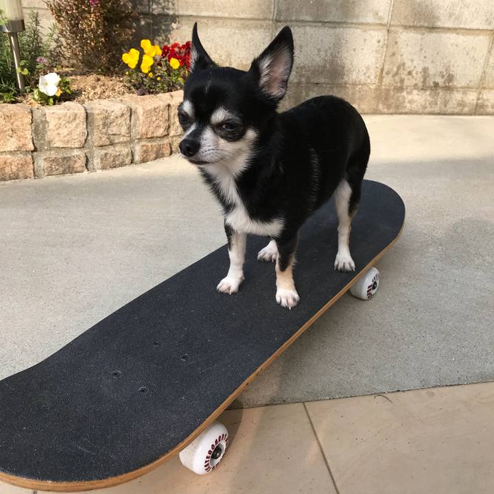 E19eca66 a90d 4b99 be23 5196cff100e5 1522538622366