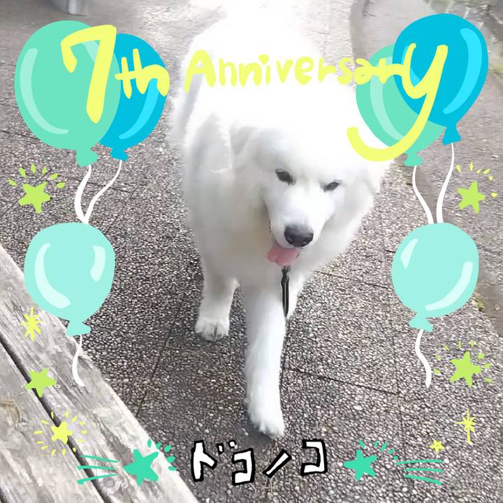 E19f0386 ed5f 4511 b7d9 3d982b52d47d 1685936648228