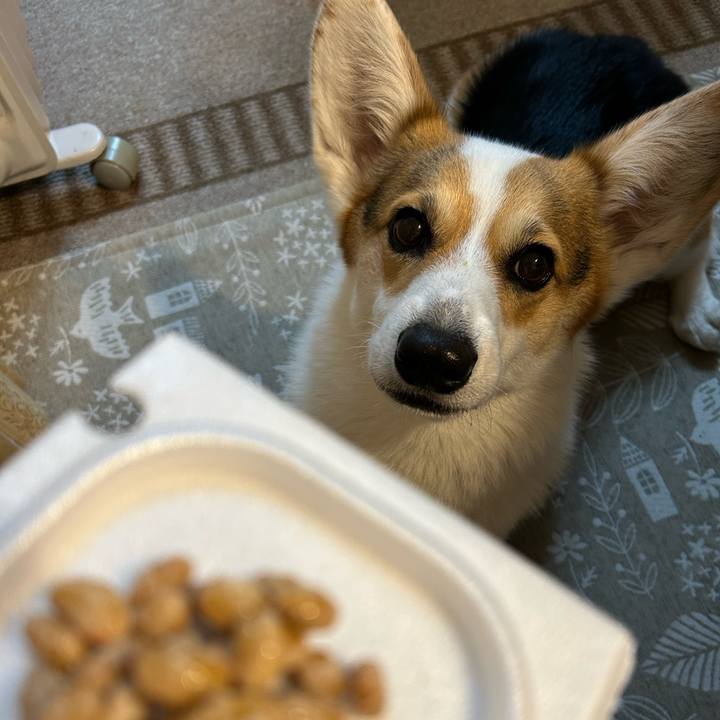 E19f405b c1a7 4d70 b556 2a1433ef72f4 1775919047143